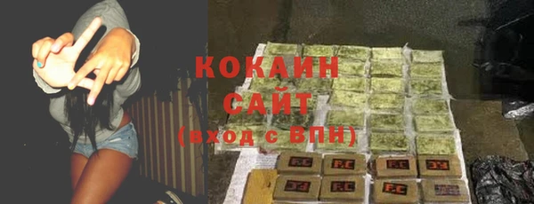 дурь Горняк