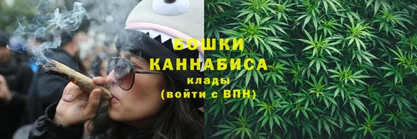 гидропоника Горнозаводск