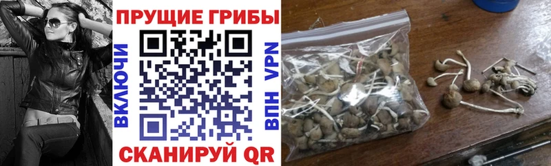 Галлюциногенные грибы GOLDEN TEACHER blacksprut ССЫЛКА Мценск