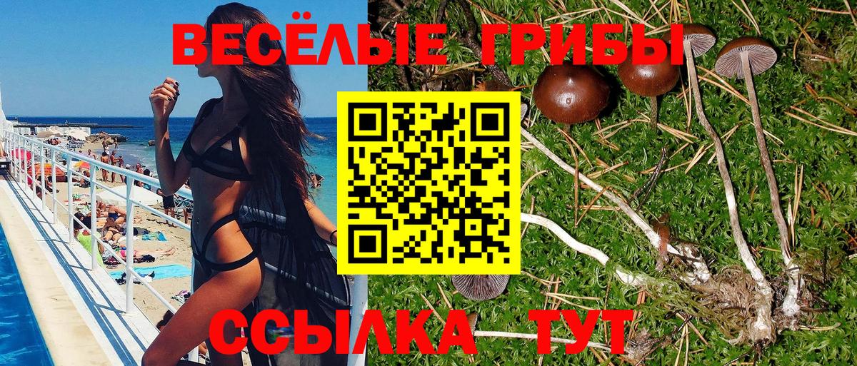 НБОМе  Мценск  A PVP СОЛЬ кристаллы  Вход с VPN  Меф МЯУ МЯУ   ГАШ  Бошки Шишки 